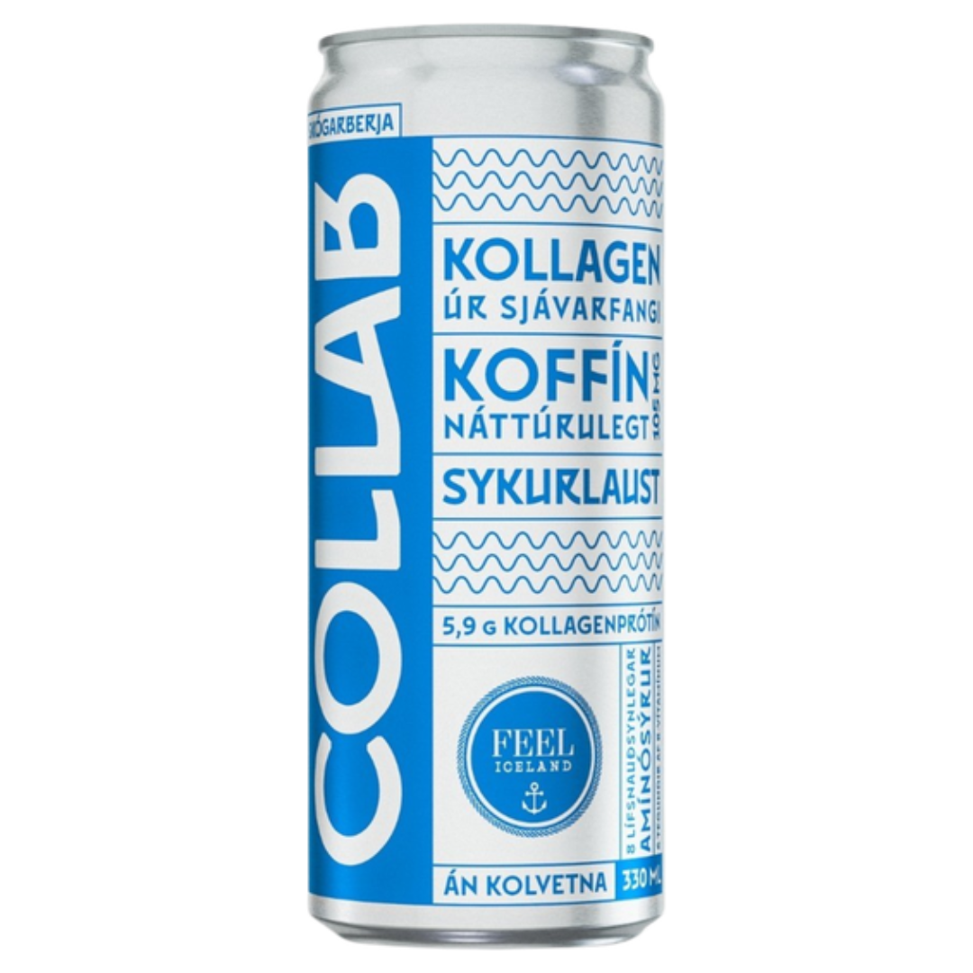 COLLAB Forest Berries / Skógarberja 330 ml