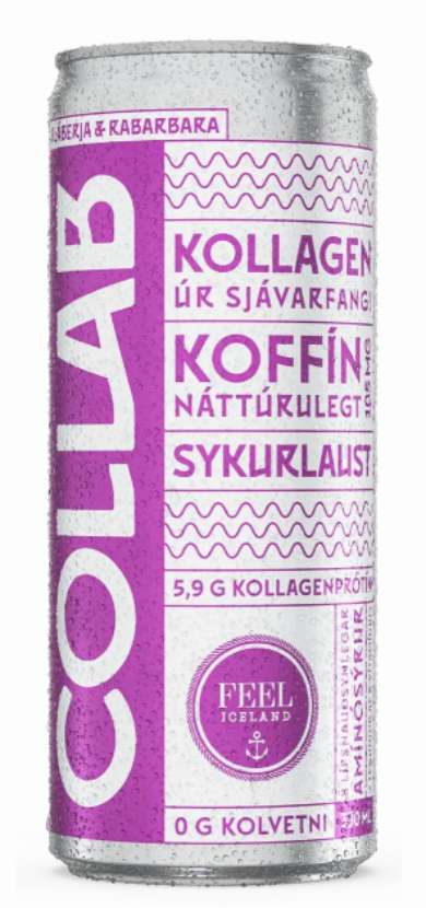 COLLAB Blueberry & Ruhbarb / Bláberja og rabbabara 330 ml